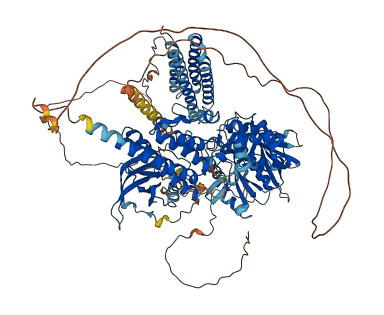 PTK2 3D structure