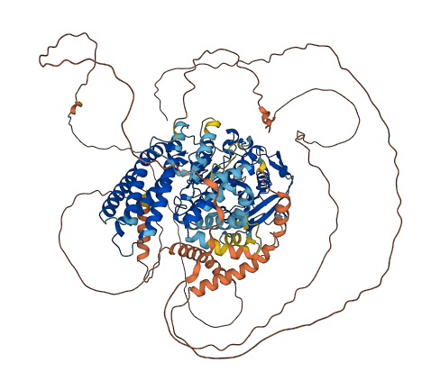 LIPE 3D structure