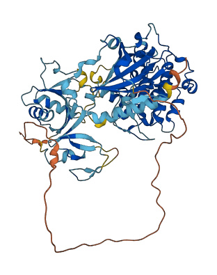 PRKCZ 3D structure