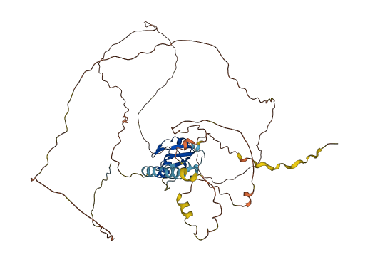 SRSF11 3D structure