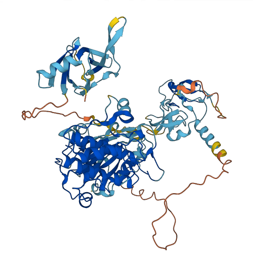 PRKCD 3D structure