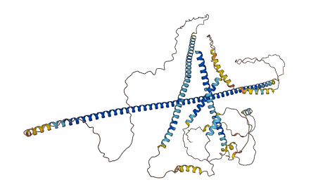 CALD1 3D structure