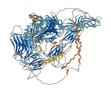 COL14A1 3D structure