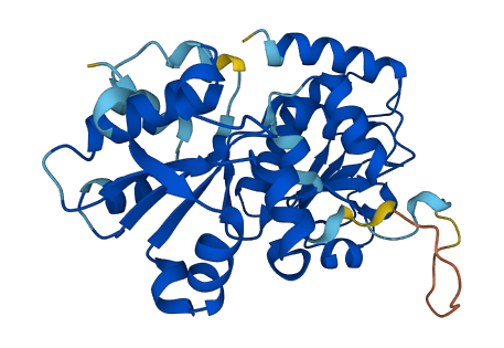 DUSP2 3D structure