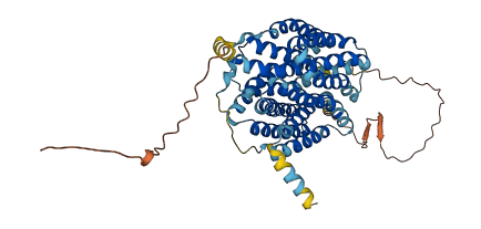 SLC18A2 3D structure