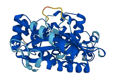 Oas1a 3D structure
