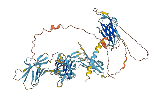 ZP2 3D structure