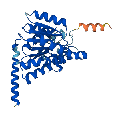 Sdr16c6 3D structure