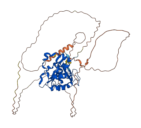 CTDSPL2 3D structure