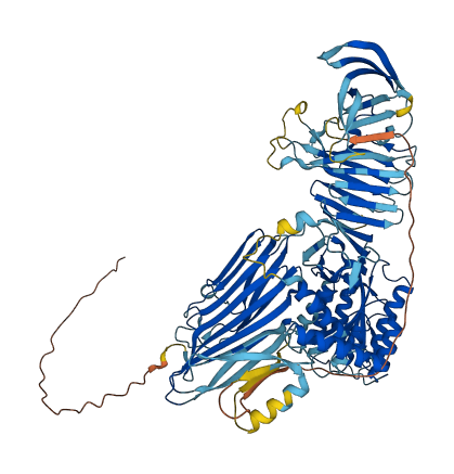 ITIH3 3D structure