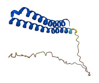 ATP5MC2 3D structure