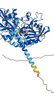 PTPN11 3D structure