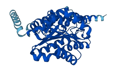KDSR 3D structure
