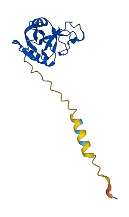 REG3A 3D structure