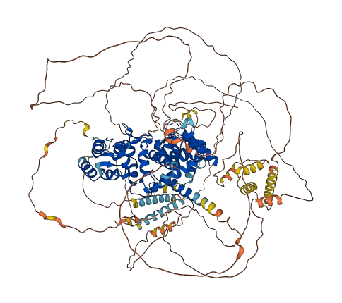 PPP2R3A 3D structure