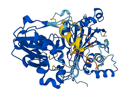PPAT 3D structure