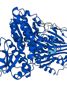 GFPT1 3D structure
