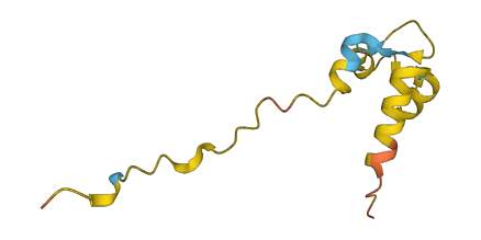 WT1-AS 3D structure