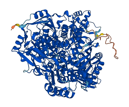 AOX1 3D structure