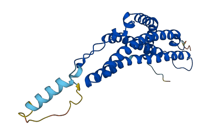 PSME1 3D structure