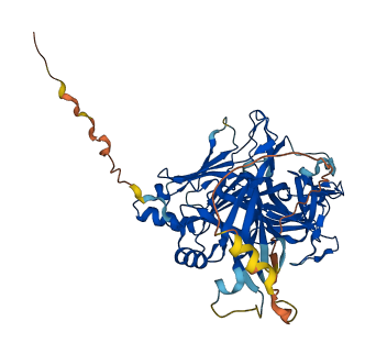 RBPJ 3D structure