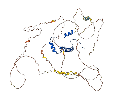 MEF2C 3D structure