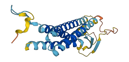 CACNG1 3D structure