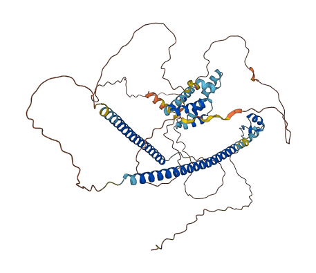 RUNX1T1 3D structure