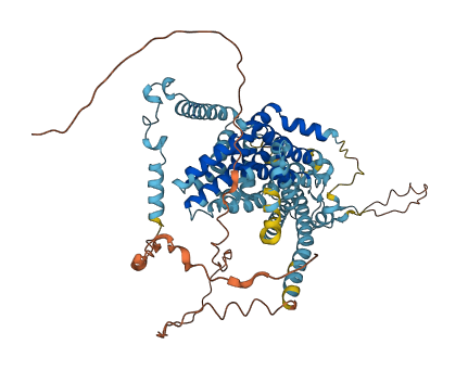 SLC34A1 3D structure