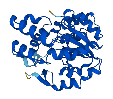 SULT2A1 3D structure
