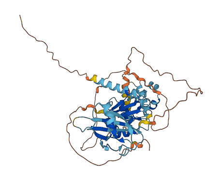 GABPA 3D structure
