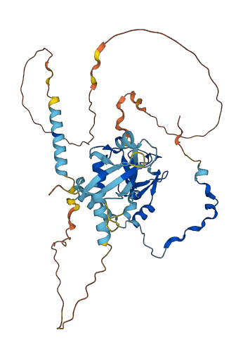 RING1 3D structure