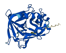 Mcpt10 3D structure