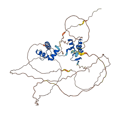 PAX8 3D structure