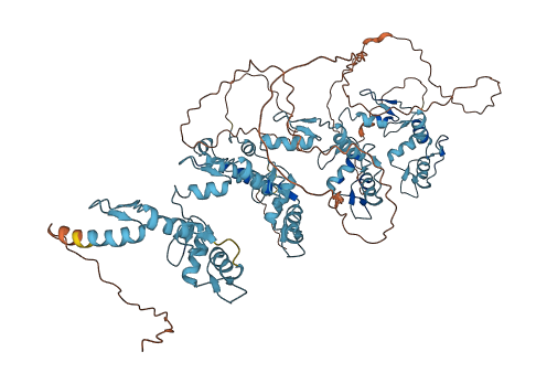 ZNF33A 3D structure
