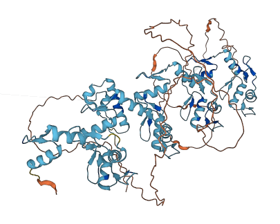 ZNF33B 3D structure