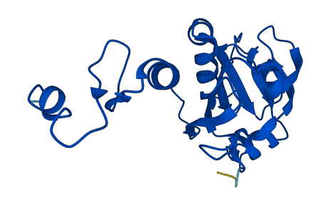 PRDX1 3D structure