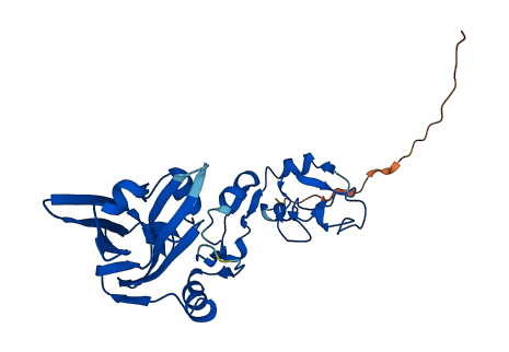 Siah1b 3D structure