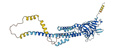 CHRND 3D structure