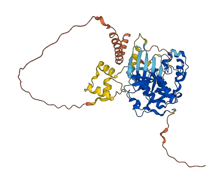 CDK18 3D structure