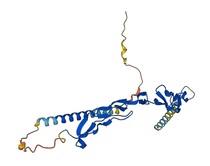 TNFRSF9 3D structure