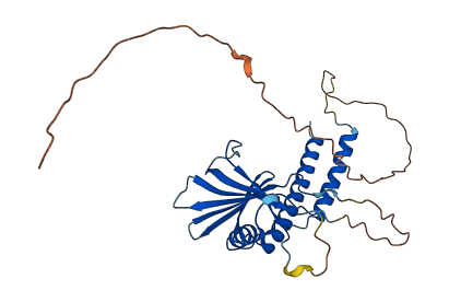 C1QBP 3D structure