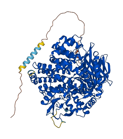 ENPEP 3D structure