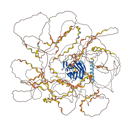 COL16A1 3D structure