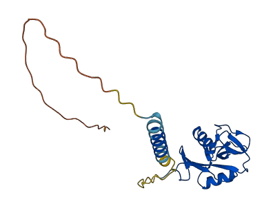 CD69 3D structure