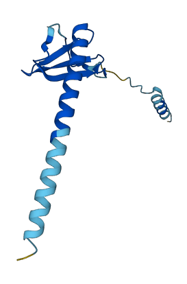 CXCL9 3D structure