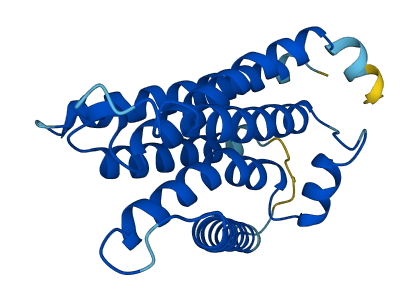 PIGF 3D structure