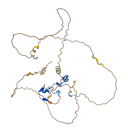 ZFP36L1 3D structure