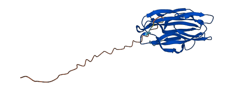 DPT 3D structure