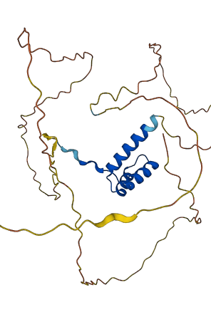 DLX2 3D structure